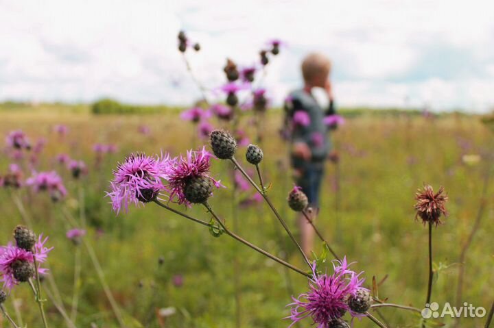 Фотосъемка