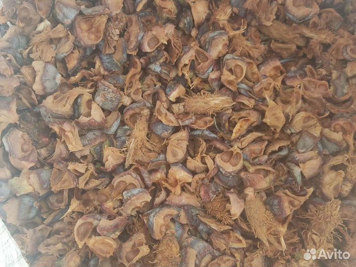 Мульча,отлет,бус (шелуха) от кедровой шишки, тунга