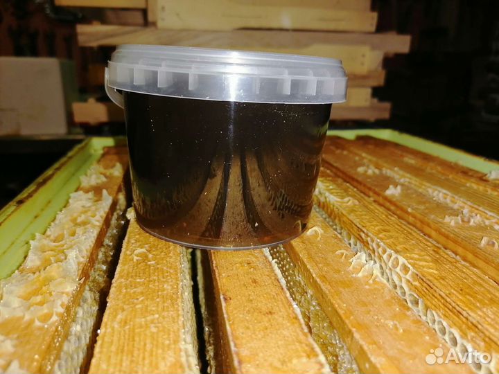 Мёд гречишный 2023