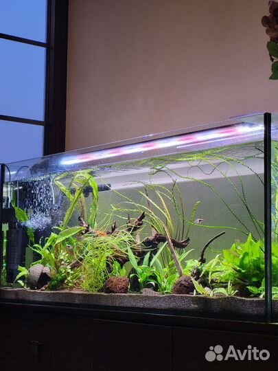 Аквариум+ оборудование