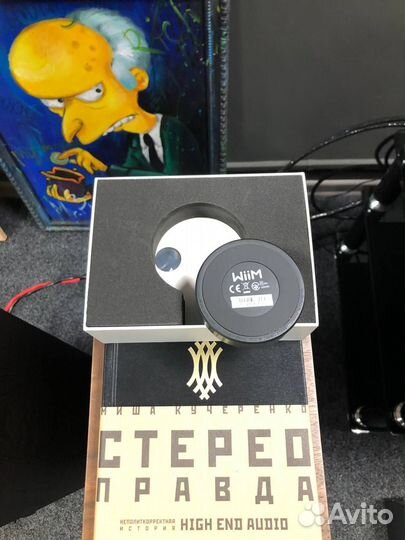 Сетевой проигрыватель WiiM Mini