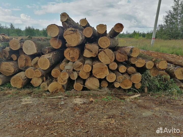 Лес кругляк