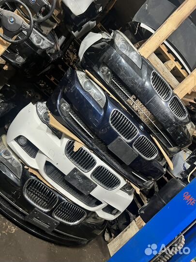 Ноускаты ф10 ф02