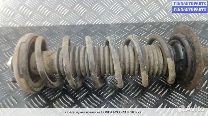 Амортизатор зад/право Honda Accord viii (CU), 2009 2.2 Дизель