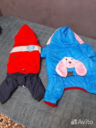 Комбинезон для собак мелких пород