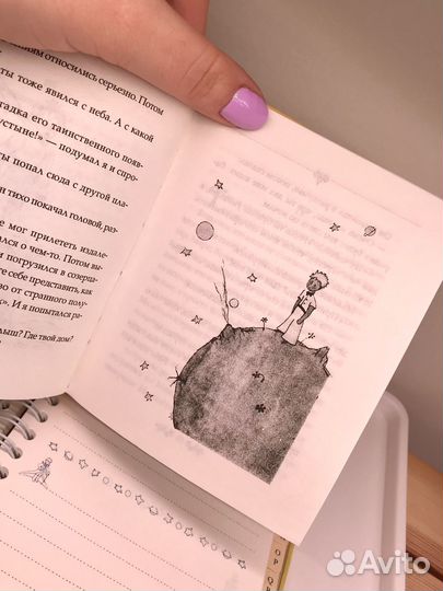 Книга и блокнот Маленький Принц лотом
