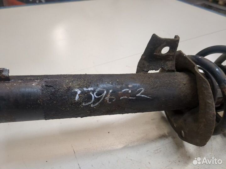 Амортизатор подвески Volkswagen Tiguan, 2010