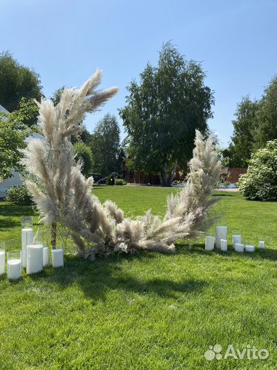 Оформление свадьбы