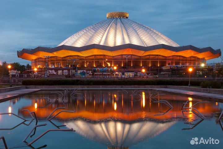 Билеты в цирк вернадского