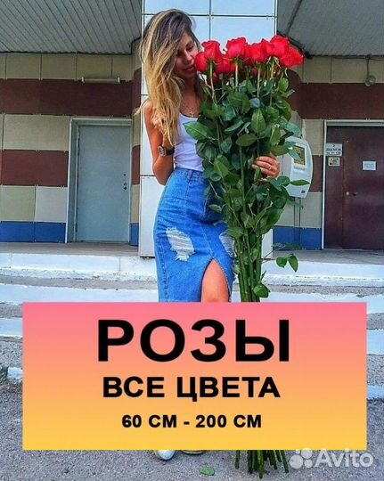 Цветы розы,в подарок
