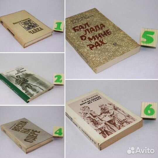 Бирюков.Чайка