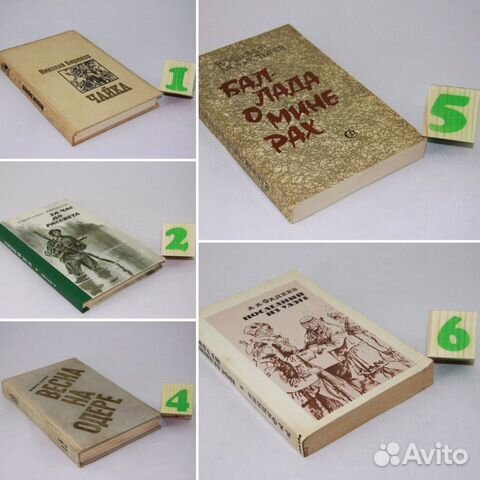 Бирюков.Чайка