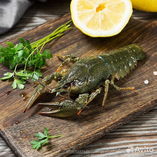 Живые раки, вареные раки. С доставкой