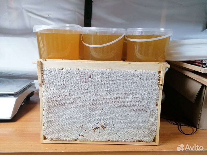 Продаю мед своя пасека в лесу