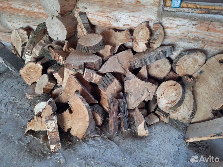 Поперечный спил дуба