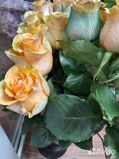 Цветы розы с доставкой