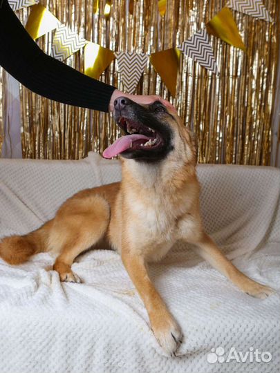 Активная и дружелюбная Инди