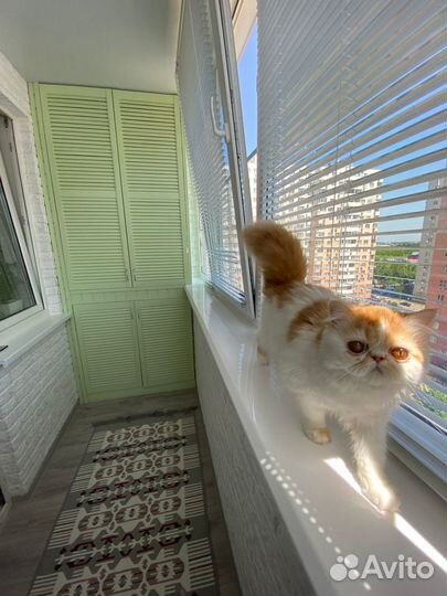 Ремонт балконов расширение отделка и остекление