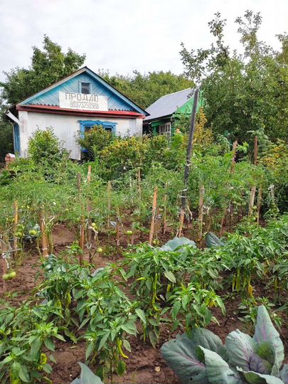 Дача 20 м² на участке 3 сот.