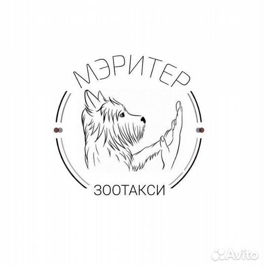 Зоотакси Перевозка животных