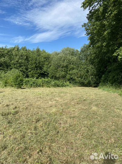 Покос травы триммером