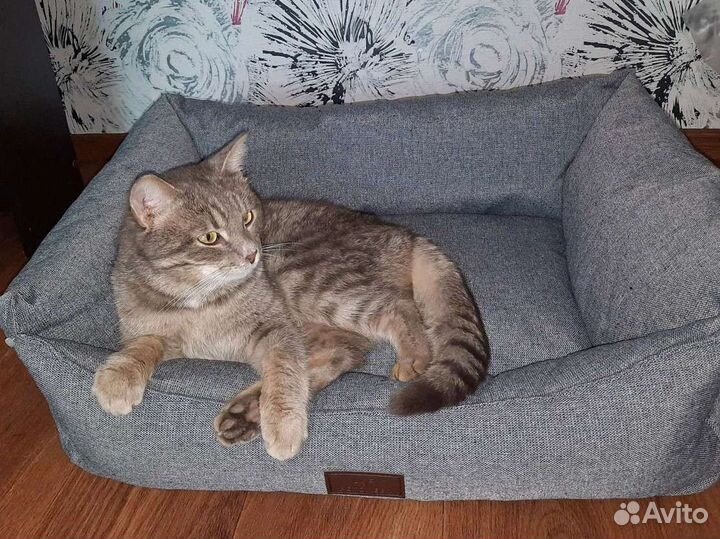 Лежанка Petoneer для собак и кошек