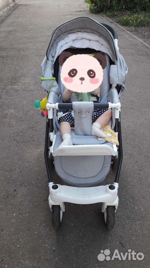 Коляска 2 в 1 adamex monte