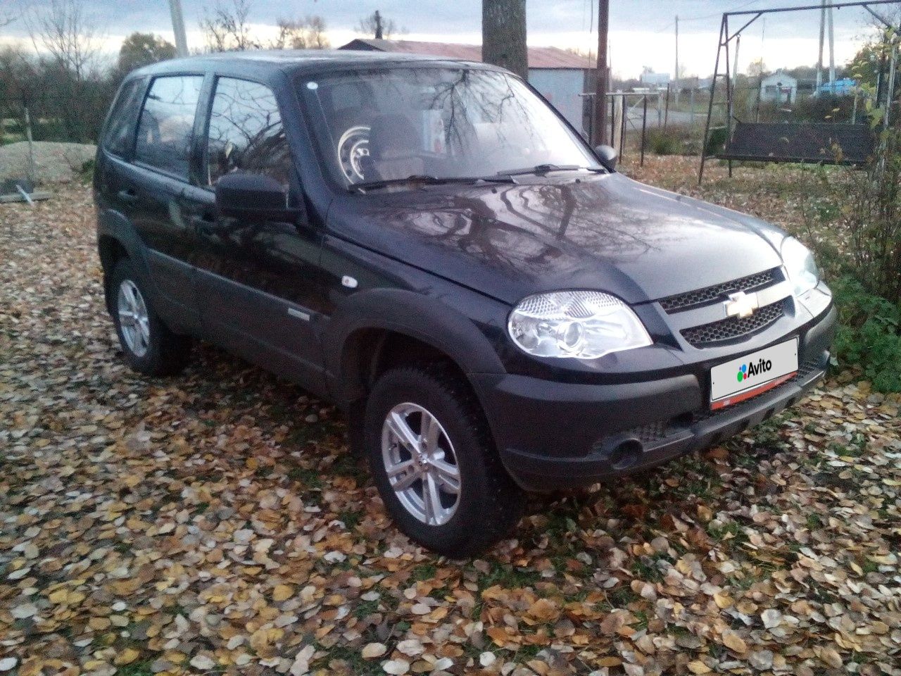 Chevrolet Niva: фото владельца