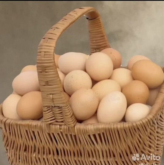 Яйцо куриное домашнее