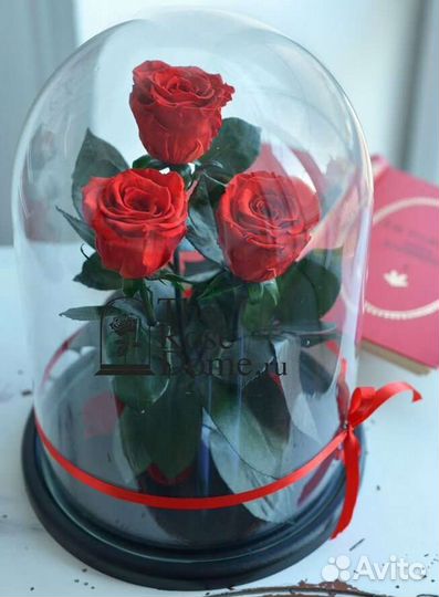 Роза в колбе King