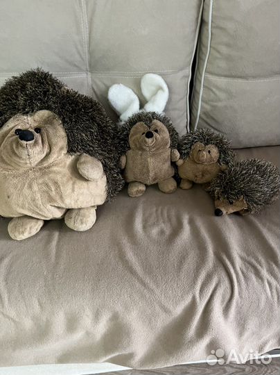 Семья ежей гулявер