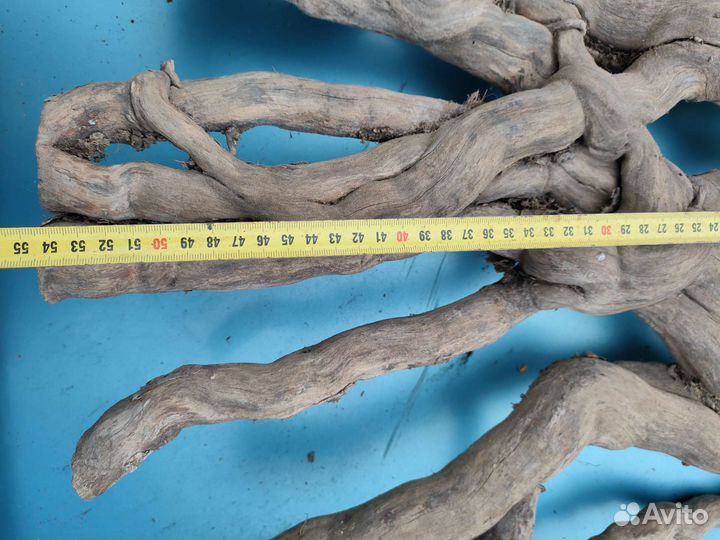 Торцевой спилы