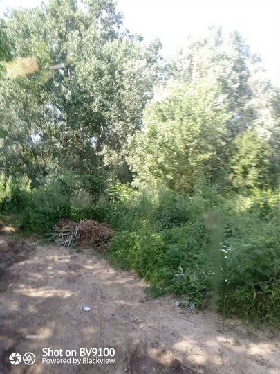 Участок 3 га (СНТ, ДНП)