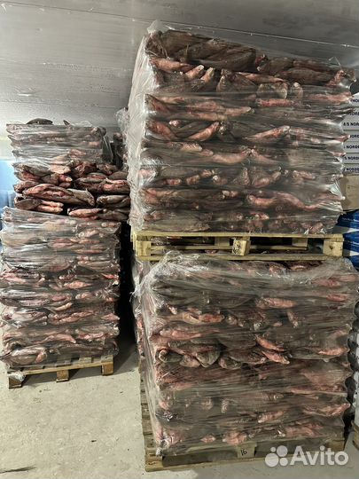 Лещ цимлянский