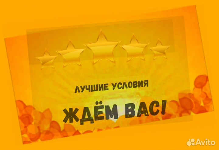 Наборщик заказов Без опыта Еженедельные выплаты