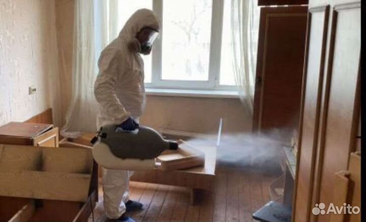 Дезинсекция от насекомых