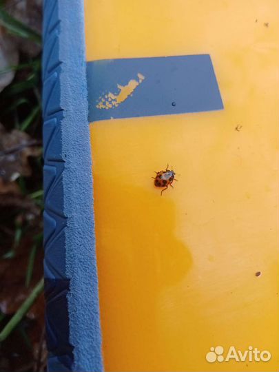 SUP борд Aztron Eclipse 10.6 soft-top