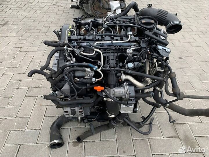 Двигатель cayc 1.6 TDI Volkswagen