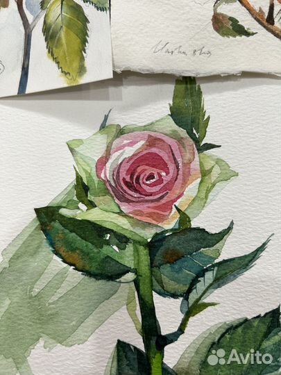 Миниатюры картин (акварель)