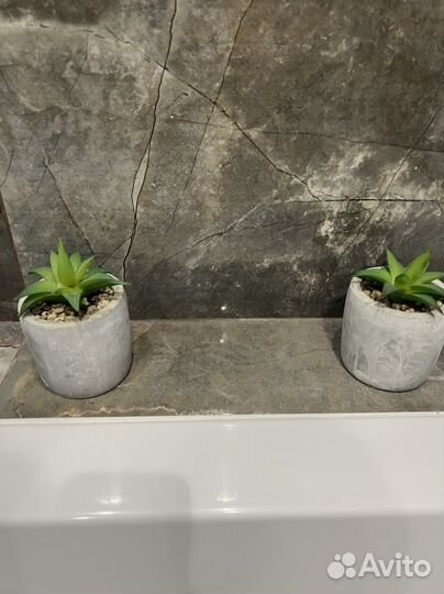 Суккуленты искусственные