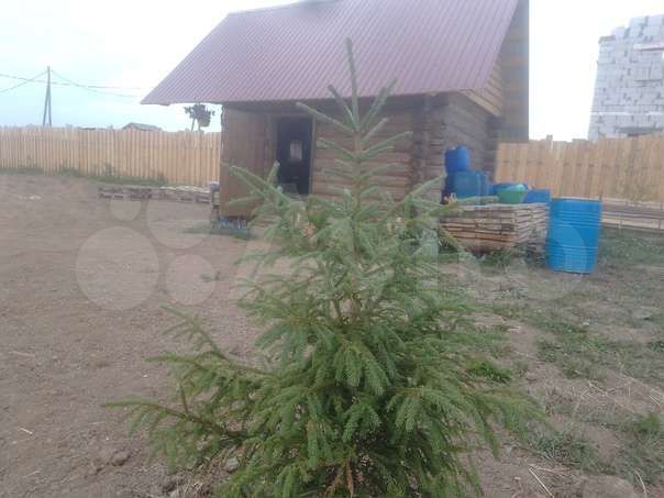 Участок 16,8 сот. (ИЖС)