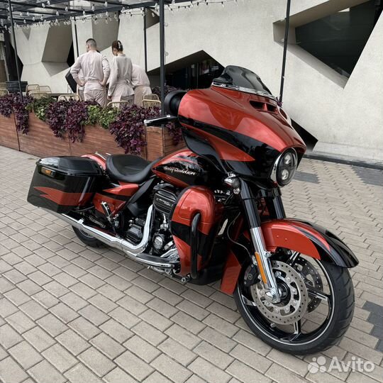 CVO 114 (Candy Orange)