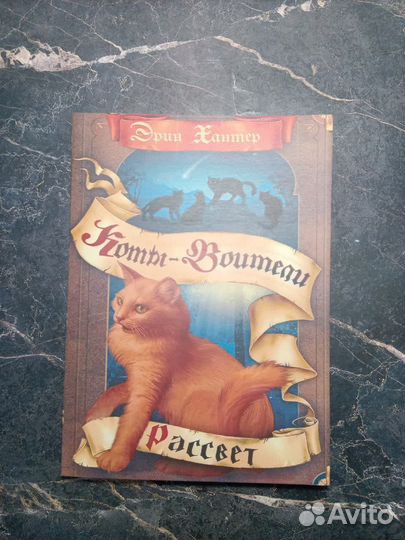 Коты-Воители