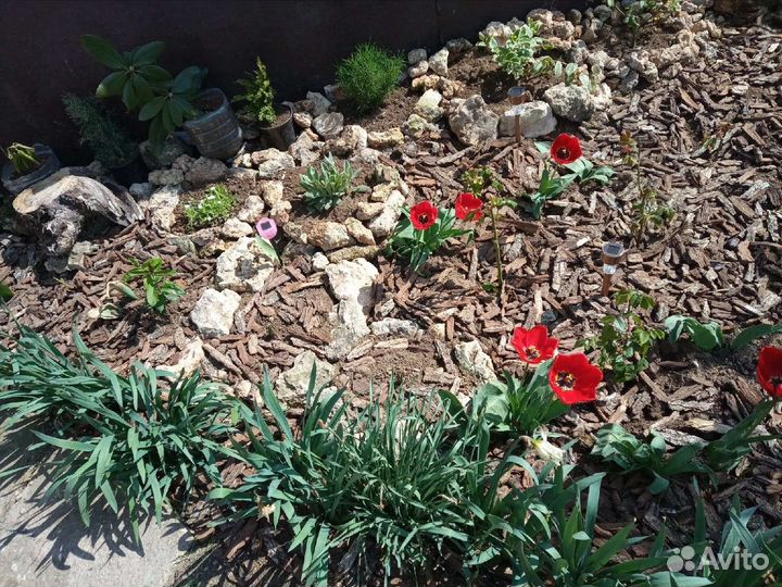 Для дома и дачи дубовая кора