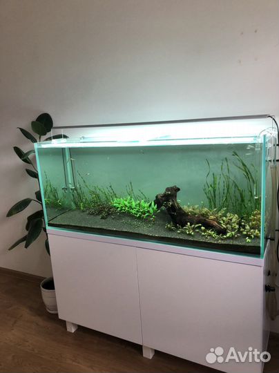 Аквариум