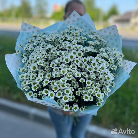 Букет из 11 хризантем Сантини