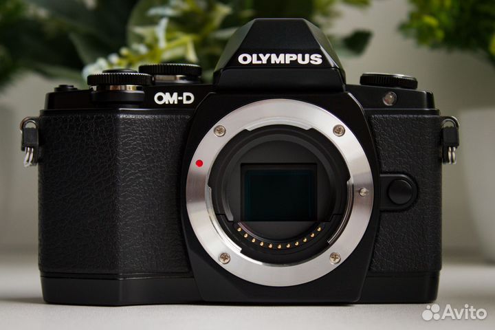 Olympus OM-D E-M10 Kit