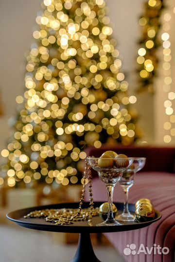 Фотосессия