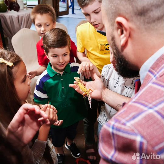 Фокусник. Иллюзионист. Фокусы с животными