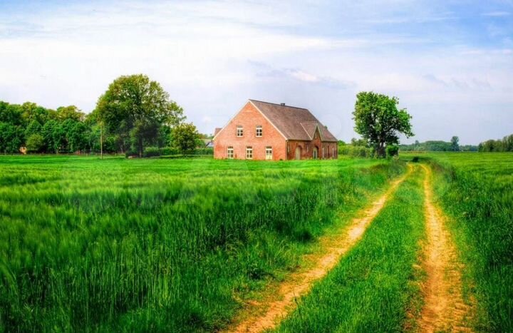 Участок 24,6 га (СНТ, ДНП)